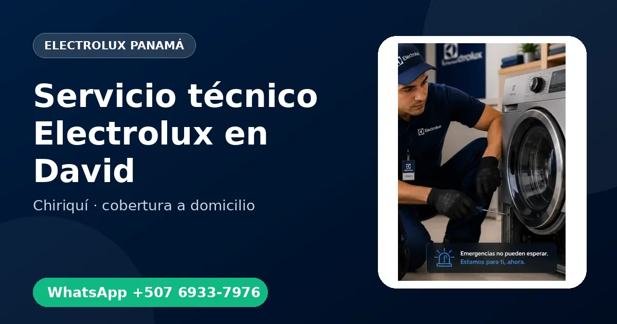 Técnico a domicilio Electrolux en David